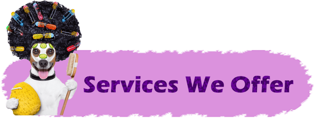 Services_Offered